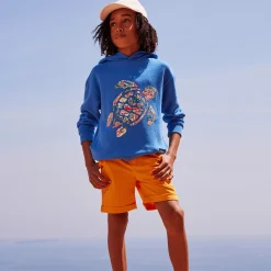 Cheap Vilebrequin Boys Hoodie Sweatshirt Turtle Printed Fonds Marins Multicolores Earthenware/Blue